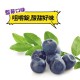 (素天堂) 葉黃素咀嚼錠 (藍莓口味) (60顆)