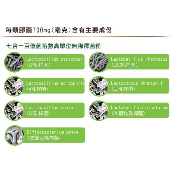 LP-300X優勢益生菌 調整體質舒敏七益菌強化配方素食膠囊(活性乳酸菌+益生素)(60顆/罐)